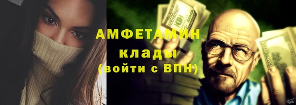 прущие грибы Аркадак
