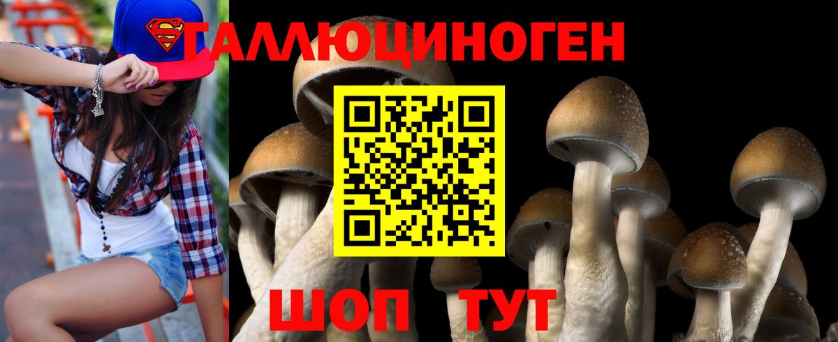 Псилоцибиновые грибы прущие грибы Радужный