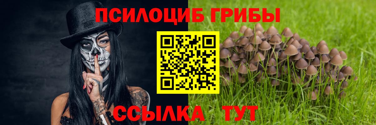 Радужный  Псилоцибиновые грибы Cubensis  где купить наркоту  Вход с VPN 
