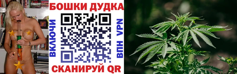 где продают   Радужный  Каннабис планчик 